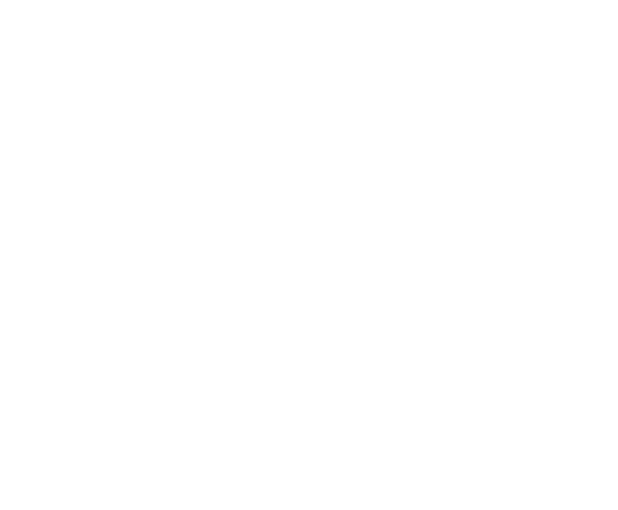 logo WHITE YIA